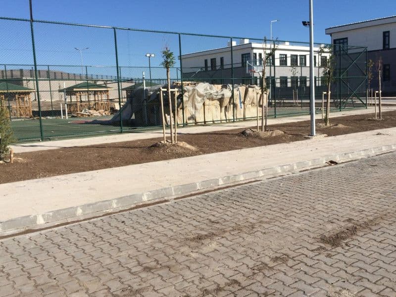 Livni Peyzaj Proje 38
