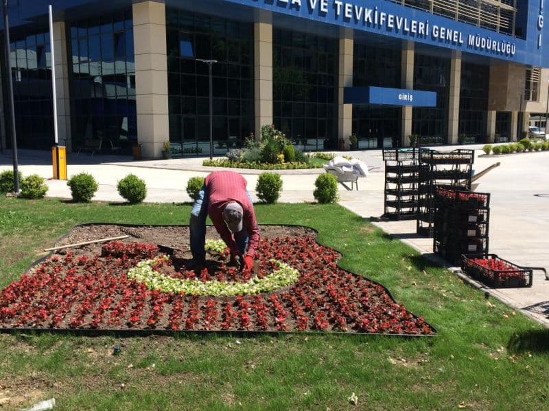 Livni Peyzaj Proje 11